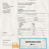 Russia water utility bill template in Word and PDF format, fully editable