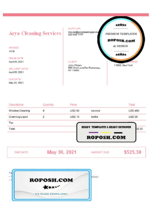 USA Arya Cleaning Services invoice template in Word and PDF format, fully editable