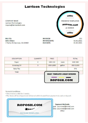 USA Larrison Technologies invoice template in Word and PDF format, fully editable