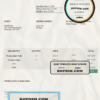 USA Martin Woods invoice template in Word and PDF format, fully editable