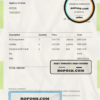 USA Pack Your Bags Consulting invoice template in Word and PDF format, fully editable