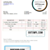 USA Pick Your Bags Travels invoice template in Word and PDF format, fully editable