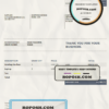 USA Springeld Limited invoice template in Word and PDF format, fully editable
