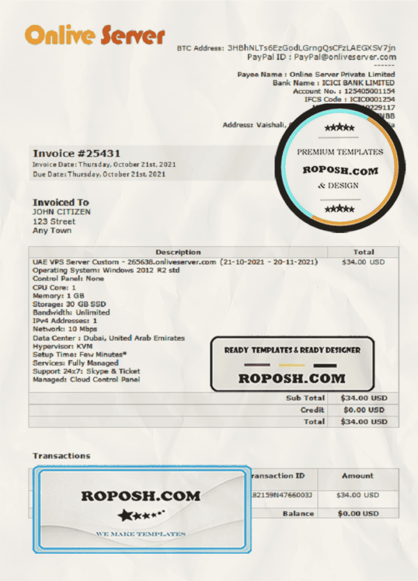 India Online Server company invoice template in Word and PDF format, fully editable