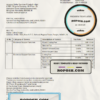 India Amazon American multinational technology company invoice template in Word and PDF format, fully editable scan effect
