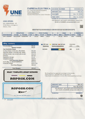 Cuba Empresa Electrica utility bill template in Word and PDF format