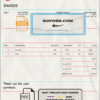 USA Tik Tok invoice template in Word and PDF format, fully editable