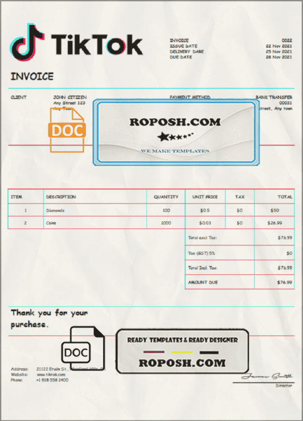 USA Tik Tok invoice template in Word and PDF format, fully editable