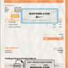 USA Didi Chuxing invoice template in Word and PDF format, fully editable
