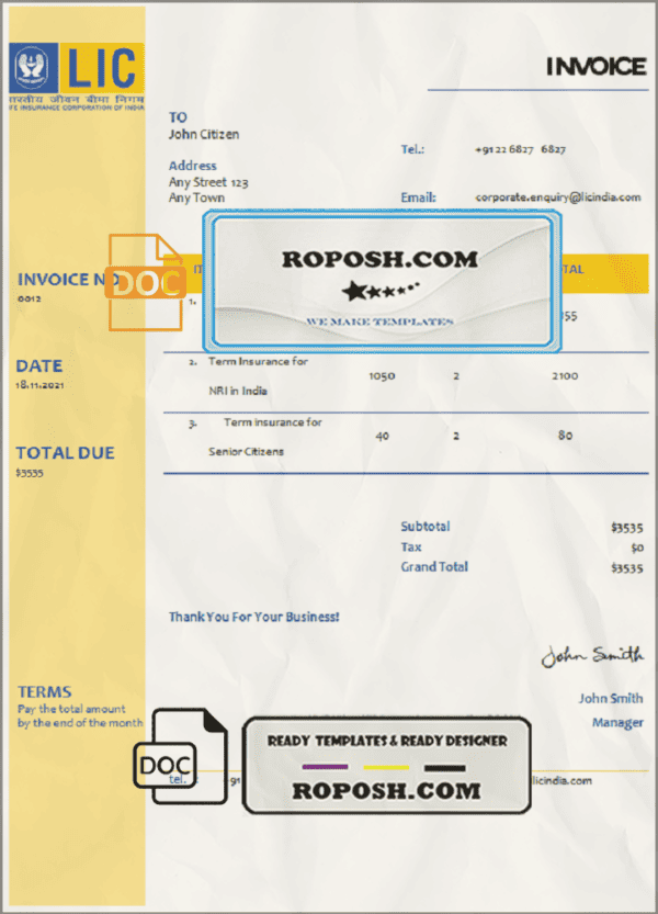USA LIC invoice template in Word and PDF format, fully editable