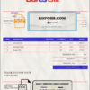 USA Baidu invoice template in Word and PDF format, fully editable