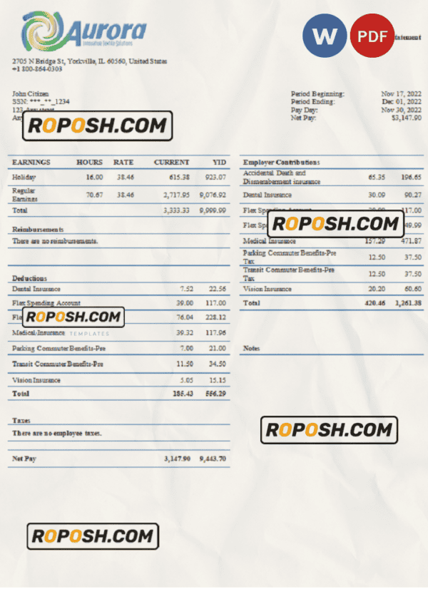 USA Aurora Specialty Textiles Group textile company pay stub Word and PDF template