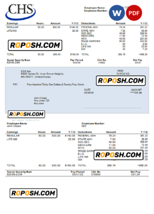 USA CHS Inc. agricultural company pay stub Word and PDF template