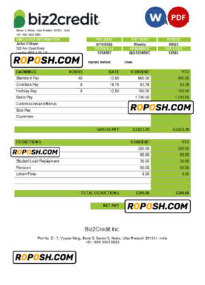 India Biz2Credit Inc. consumer lending company pay stub Word and PDF template