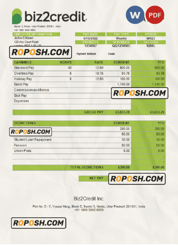 India Biz2Credit Inc. consumer lending company pay stub Word and PDF template
