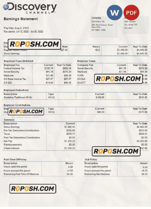 USA Discovery Inc. entertainment company pay stub Word and PDF template