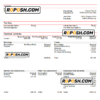 pay stub word (CopyUSA Grainger industry company pay stub Word and PDF template