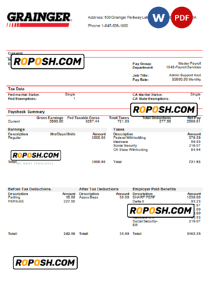 pay stub word (CopyUSA Grainger industry company pay stub Word and PDF template