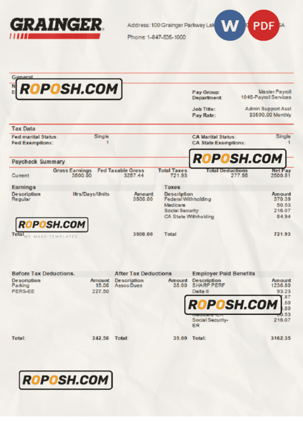 pay stub word (CopyUSA Grainger industry company pay stub Word and PDF template