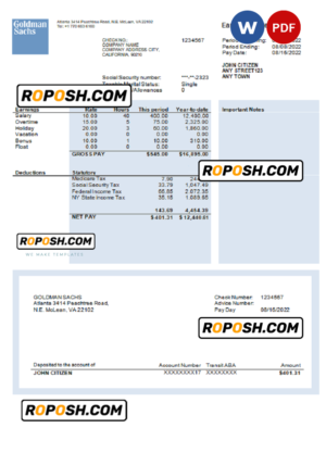 USA financial company earning statement template in Word and PDF format, version 2