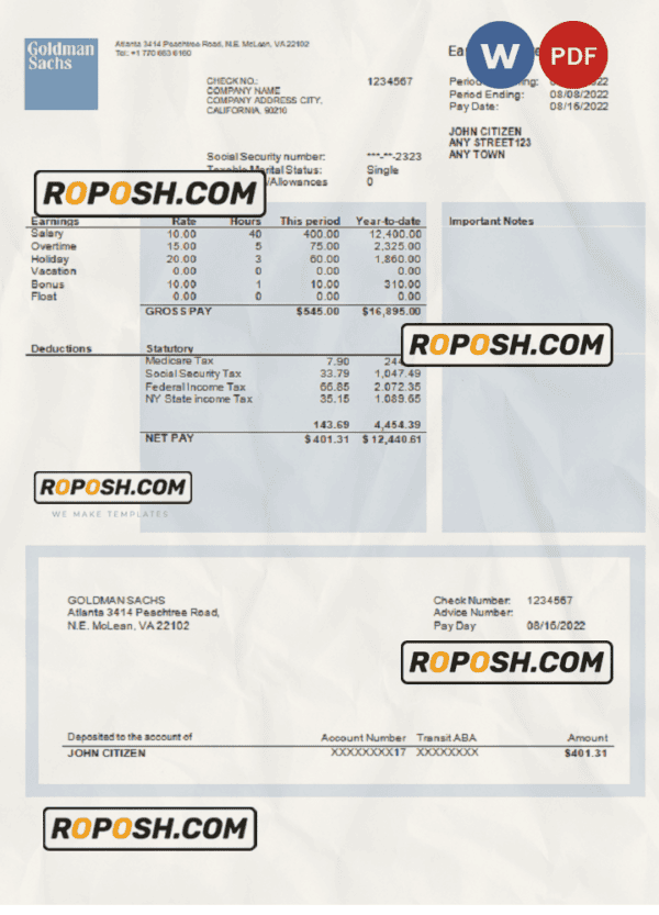 USA financial company earning statement template in Word and PDF format, version 2