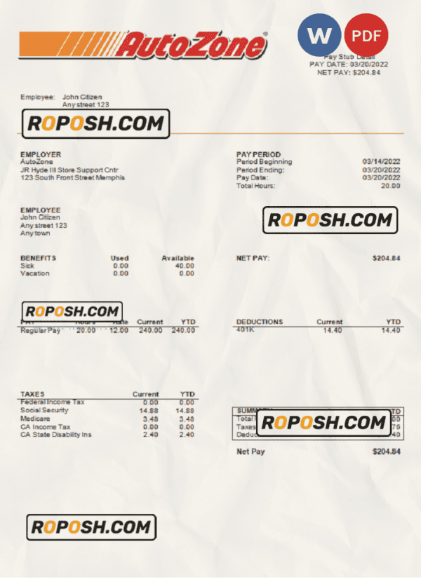 USA Auto Zone auto retailer company pay stub Word and PDF template