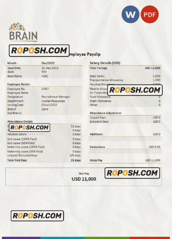 USA Brain Technology technology company pay stub Word and PDF template