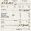 USA Brown Forman alcoholic beverages company pay stub Word and PDF template