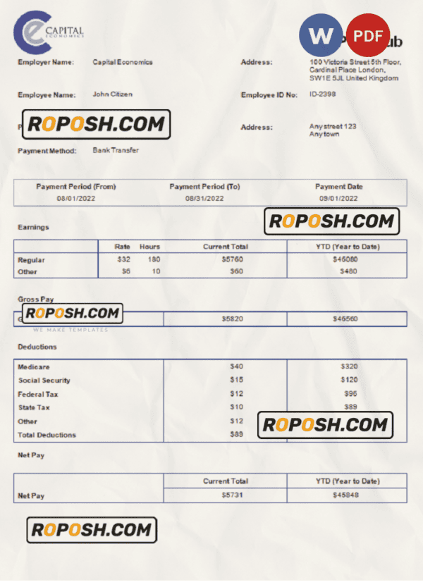 USA Capital Economics economic company pay stub Word and PDF template