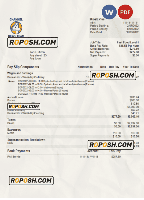 USA Channel News Team 4 media company pay stub Word and PDF template