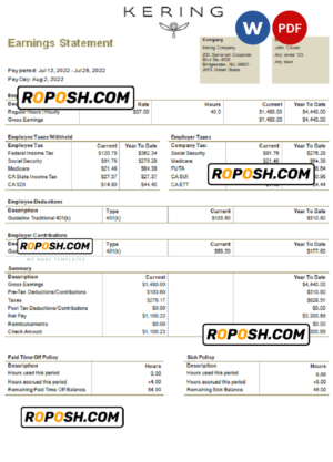 USA Kering luxury goods company pay stub Word and PDF template