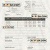 USA Lowe’s Pro Supply wholesale company pay stub Word and PDF template