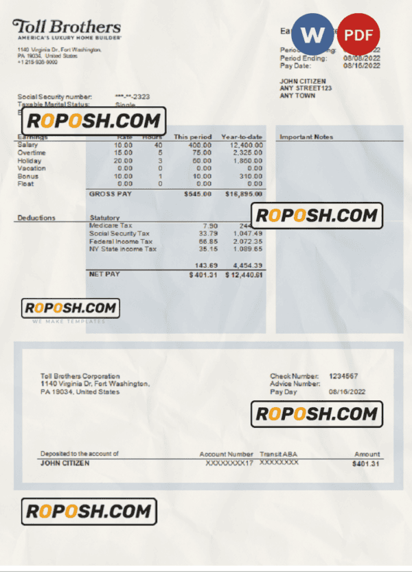 USA building company earning statement template in Word and PDF format