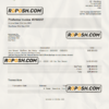 USA A2 Hosting invoice Word and PDF template