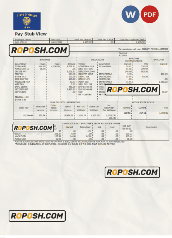 USA commercial company earnings statement template in Word and PDF format