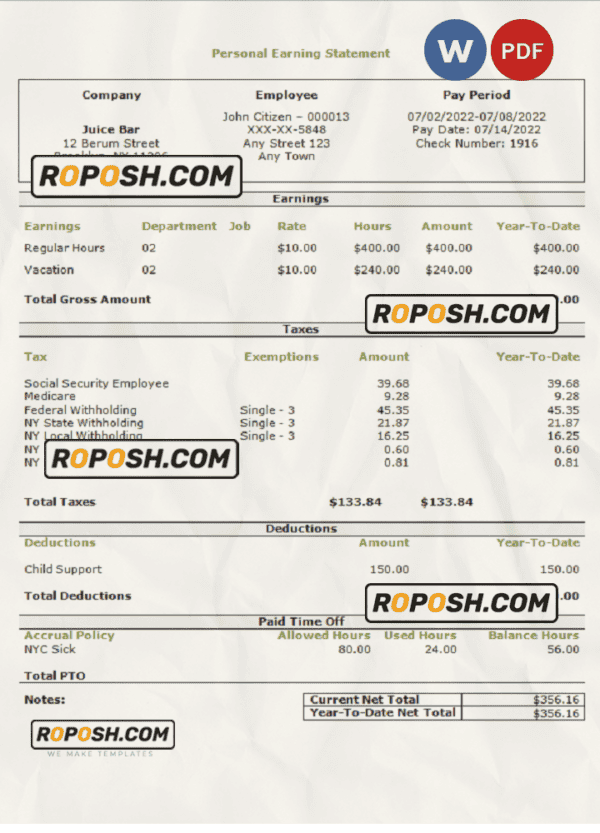 USA personal earning statement template in Word and PDF format