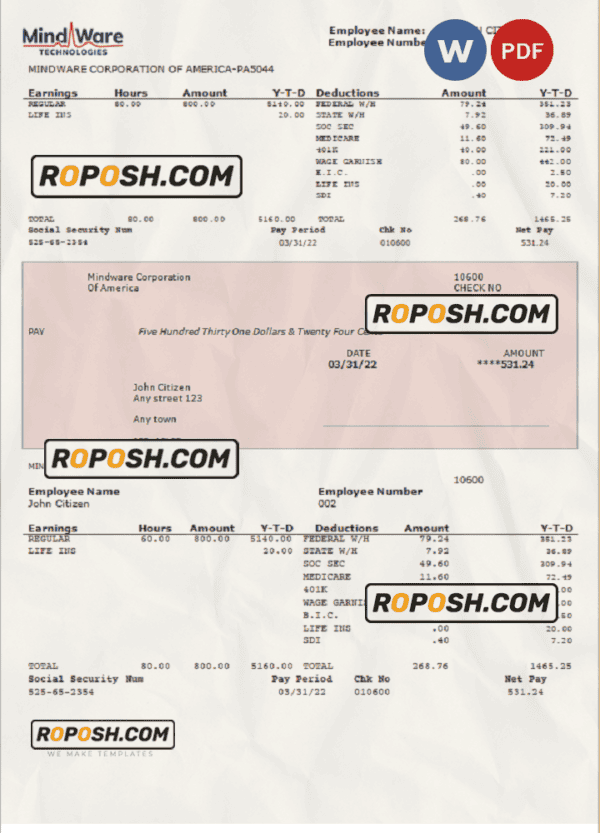 USA software company employee sheet template in Word and PDF format