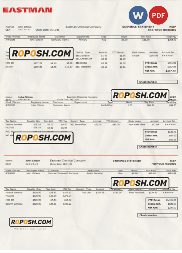 USA chemical industry earning statement template in Word and PDF format