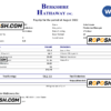 USA Berkshire Hathaway conglomerate company pay stub Word and PDF template