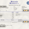 USA Berkshire Hathaway conglomerate company pay stub Word and PDF template