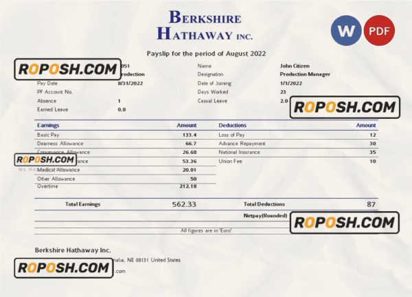 USA Berkshire Hathaway conglomerate company pay stub Word and PDF template