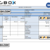 USA Big Box Technologies technology company pay stub Word and PDF template