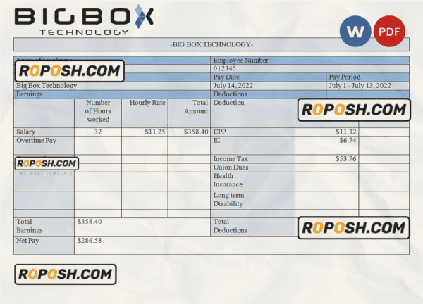 USA Big Box Technologies technology company pay stub Word and PDF template