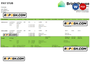 USA Brighthouse Financial financial company pay stub Word and PDF template