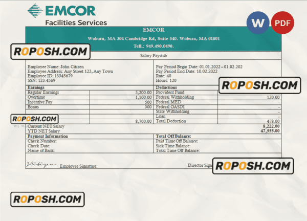 USA engineering company employee earning statement template in Word and PDF format