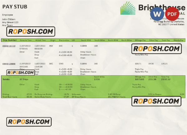 USA Brighthouse Financial financial company pay stub Word and PDF template