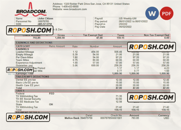 USA Broadcom semiconductor company pay stub Word and PDF template