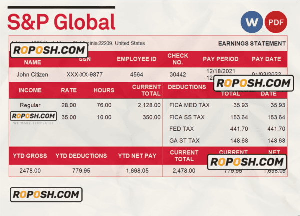 USA financial company earning statement template in Word and PDF format