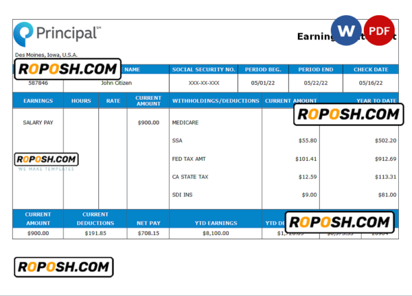 USA financial company earning statement template in Word and PDF format