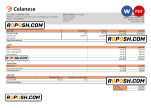 USA Celanese technology company pay stub Word and PDF template